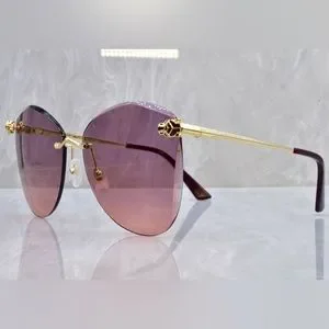 Cartier | Accessories | Cartier Big Panthere Sunglasses New  display picture 1